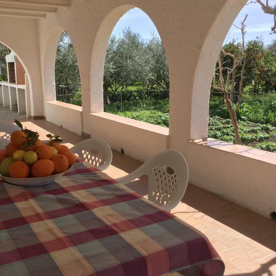 Maison d'hôtes El Cortijo De La Abuela à Benahadux Extérieur photo