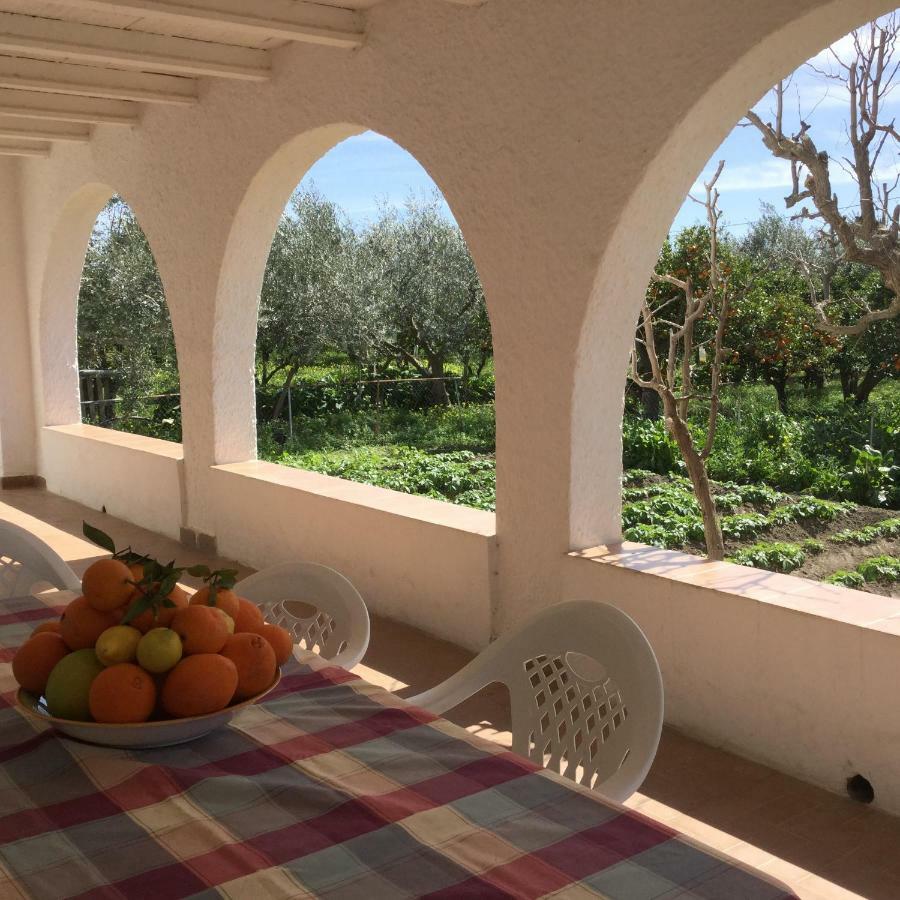 Maison d'hôtes El Cortijo De La Abuela à Benahadux Extérieur photo
